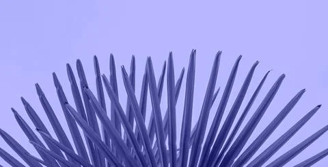 Creative background made tropical leaves on lilac background. Background painted Stock Photos