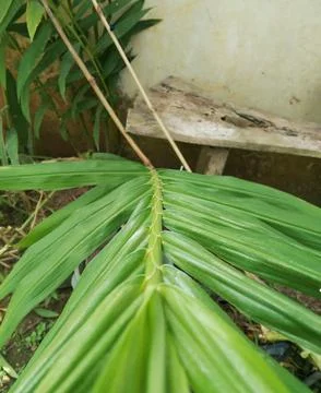 Creative background Stock Photos