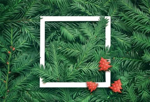 Creative background of pine branch with white paper frame. New Year and Merry Foto stock
