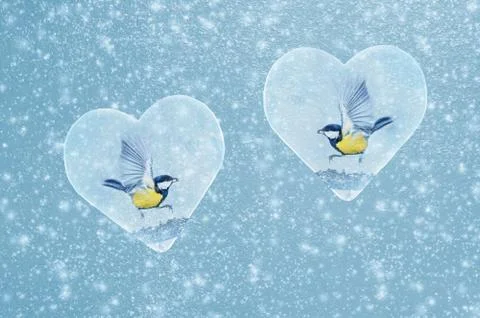 Creative background with snow overlay and birds in transparent hearts Фото