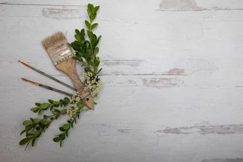 Creative background with three old paint brushes on wood Stock Photos