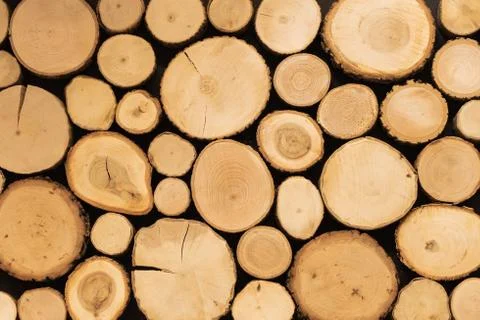 Creative background of transversely cut tree trunks. Natural wood structure. Stock Photos