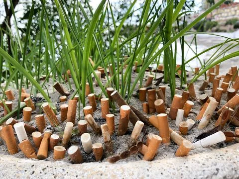 Creative big ashtray made of stone flowerbed Foto stock