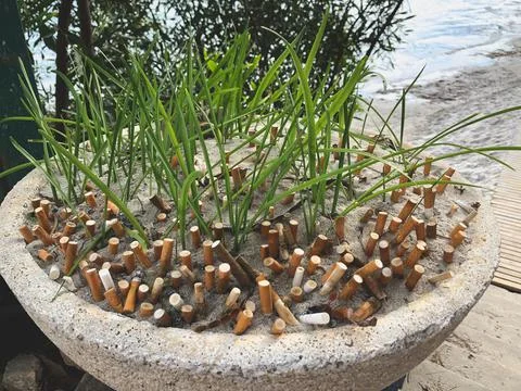 Creative big ashtray made of stone flowerbed Stock Photos