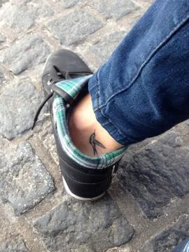 Creative Bird On the Go Foto stock