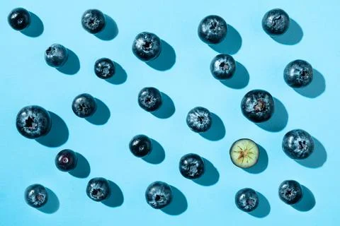 Creative Blueberries Pattern on Blue Background with Copy Space Stock Photos