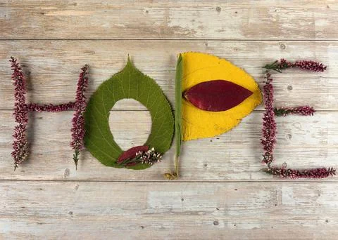 Creative Botanical Composition Spelling Word Hope in Fall Colors Stock Photos