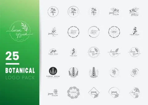Creative Botanical Logo templates. Modern logo design with leaves, branch and Illustrazione stock