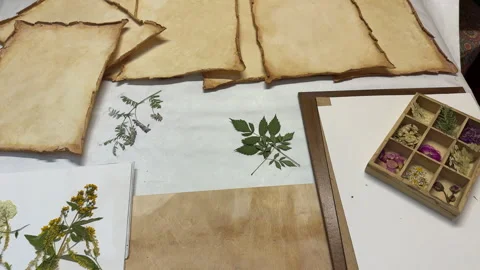 A creative botanical project featuring pressed and dried flowers, handmade paper Stock Footage 314794740