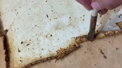 A creative botanical project featuring pressed and dried flowers, handmade paper Stock Footage 314795001