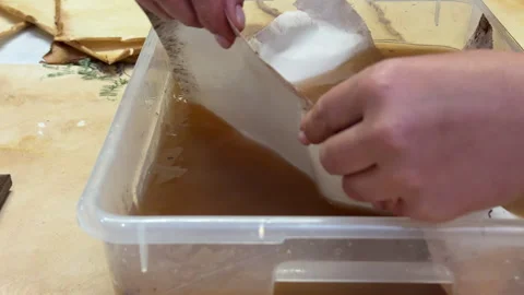 A creative botanical project featuring pressed and dried flowers, handmade paper Stock Footage 314796661