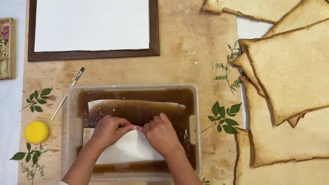 A creative botanical project featuring pressed and dried flowers, handmade paper Stock Footage 314796812