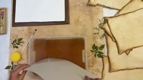 A creative botanical project featuring pressed and dried flowers, handmade paper Stock Footage 314796880