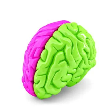 Creative brain concept. Isolated. Contains clipping path Stock Illustration