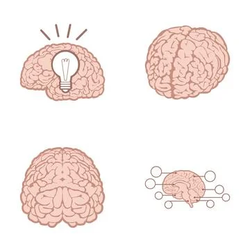 Creative brain developing new ideas and concepts 库存插图