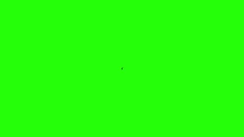 Creative Brain Icon Stock Footage 342779617