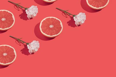 Creative bright red pattern with grapefruit, pink flower and copy space. Tren Foto stock