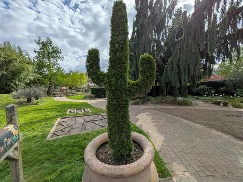 Creative cactus-shaped topiary in a large planter overlooking a mailbox Stock-Fotos