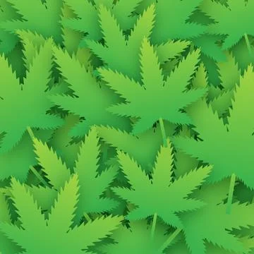 Creative cannabis leaf pattern. Template for CBD Cannabidiol. Vector 库存插图