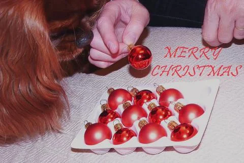 Creative Christmas postcard Stock Photos