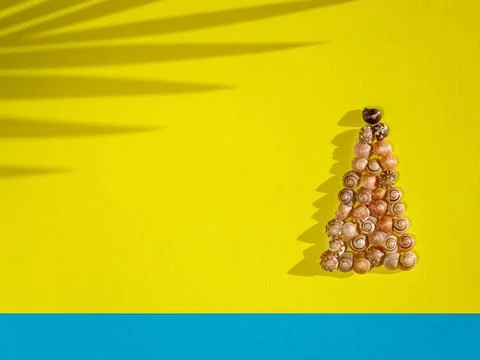 Creative Christmas tree made of seashells on modern yellow blue paper backgro Stock Photos