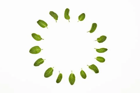 Creative circle with mint Stock Photos