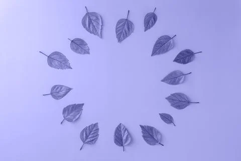 Creative circle shaped frame from leaves, copy space,layout, flat lay, for Stock Photos
