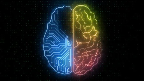 Creative circuit brain semispheres animation Stock Footage 99052623