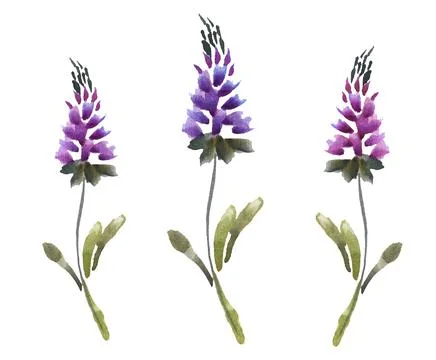 Creative collage of flowers inspired by Very Peri - color of the year 2022. Stock Illustration