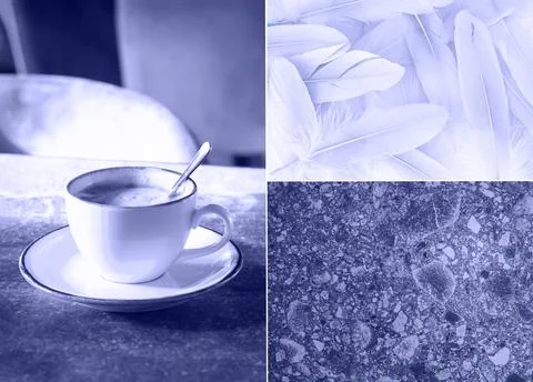 Creative collage or mood board with violet color texture Stock Photos