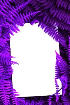 Creative colored purple leaves layout. Supernatural concept. Flat lay Stock Photos