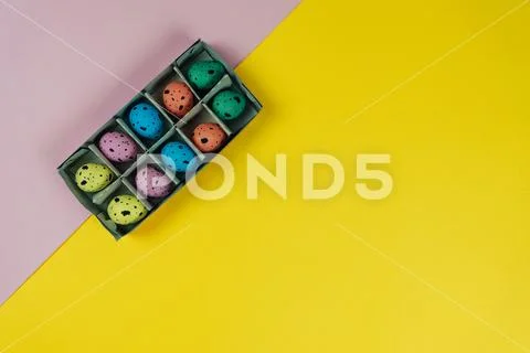 Creative colorful Easter quail eggs in carton box isolated on yellow and pink Stock Photos