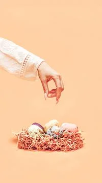 The creative colorful idea for Easter. The concept with a bright nest Stock Photos