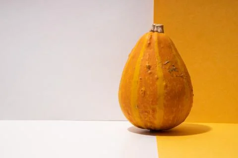 Creative composition with decorative pumpkin paper background. Stock Photos