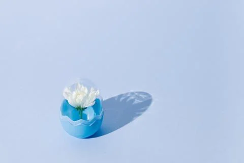 Creative composition done with white spring blossom inside the fashionable bl Stock Photos