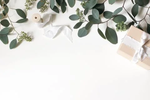 Creative composition made of green berry Eucalyptus populues leaves and branches Stockfoto's