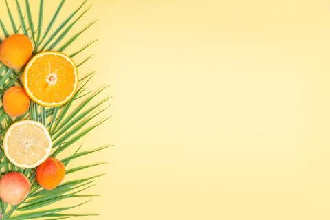 Creative composition with palm leaves, oranges, lemons and apricots Stock Photos