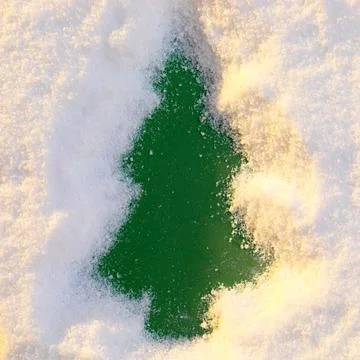 Creative composition with paper christmas tree in snow in winter sunlight Stock Photos