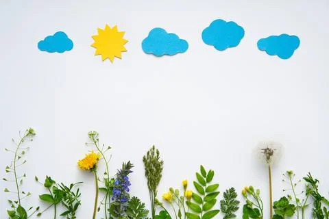 Creative composition of plants and flowers with paper sun and clouds on white Stock Photos