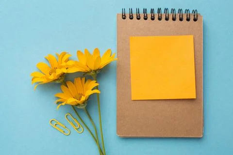 Creative composition teacher day elements Stock Photos