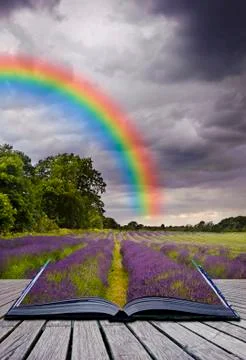 Creative concecpt image of lavender fields landscape coming out of pages in m Illustrazione stock
