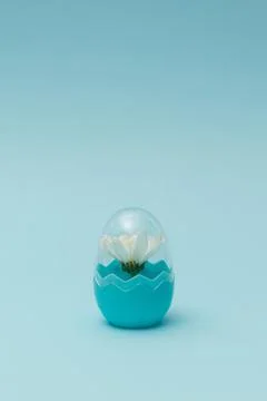 Creative concept done with white spring blossom inside the fashionable plasti Stock Photos