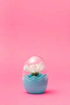 Creative concept done with white spring blossom inside the fashionable plasti Stock Photos