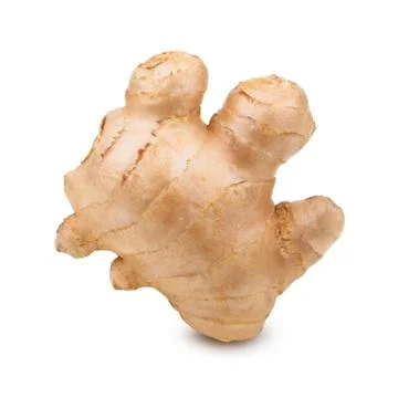 Creative concept of ginger root isolated on white background Stock Photos