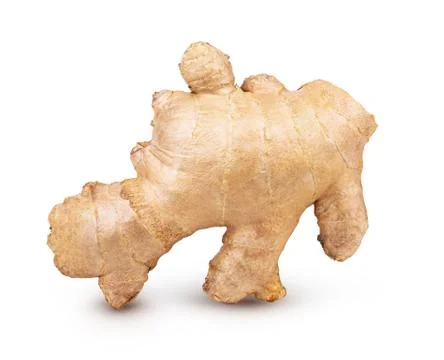 Creative concept of ginger root isolated on white background Stock Photos