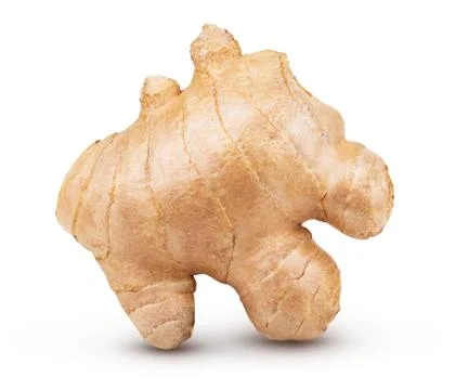 Creative concept of ginger root isolated on white background Stock Photos