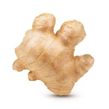 Creative concept of ginger root isolated on white background Stock Photos