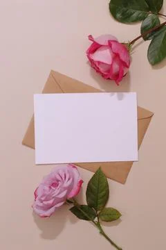 Creative concept, greeting card template. Styled feminine flat lay on pale .. Stock Photos