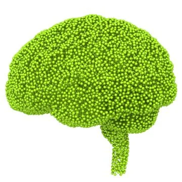 Creative concept of the human brain. 3d render on isolated white background 스톡 일러스트