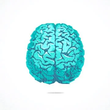 Creative concept of the human brain 스톡 일러스트